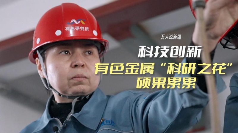 企业数据服务评测排名：揭秘背后的评估逻辑**