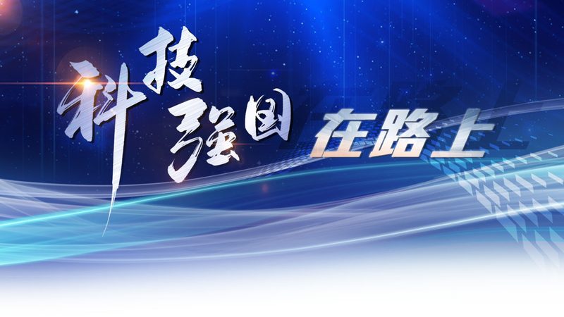 知识图谱搜索引擎的应用场景多样，选择代理时，要关注其服务能力，包括：