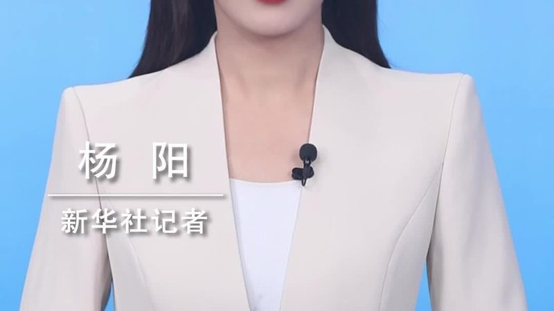 容器编排实战案例解析：如何选择合适的解决方案**